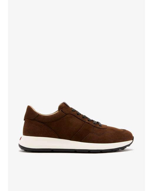 Tod's Brown Dot Sneakers for men