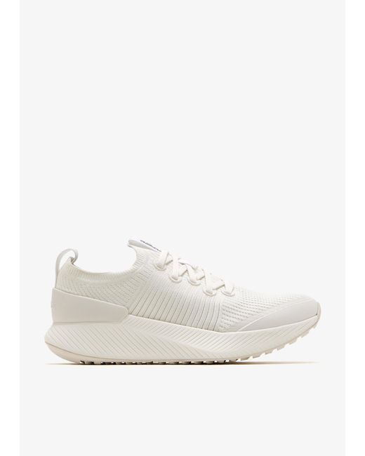 ALLBIRDS White Tree Glider Sneakers