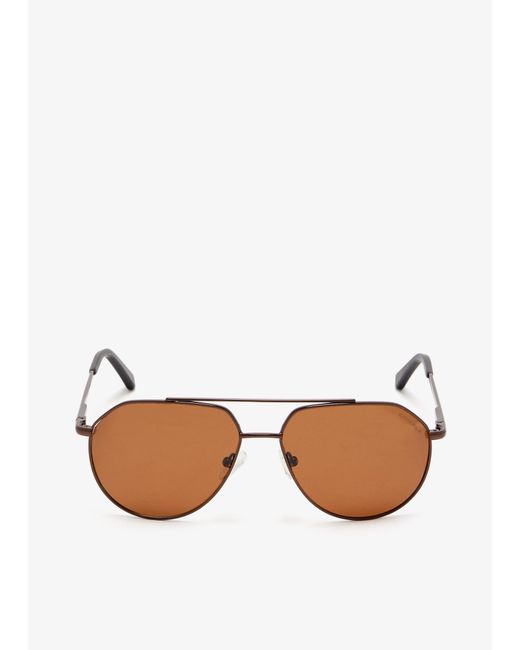 Roderer Brown Edgar Aviator Sunglasses for men