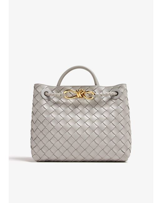 Bottega Veneta Gray Small Andiamo Bag