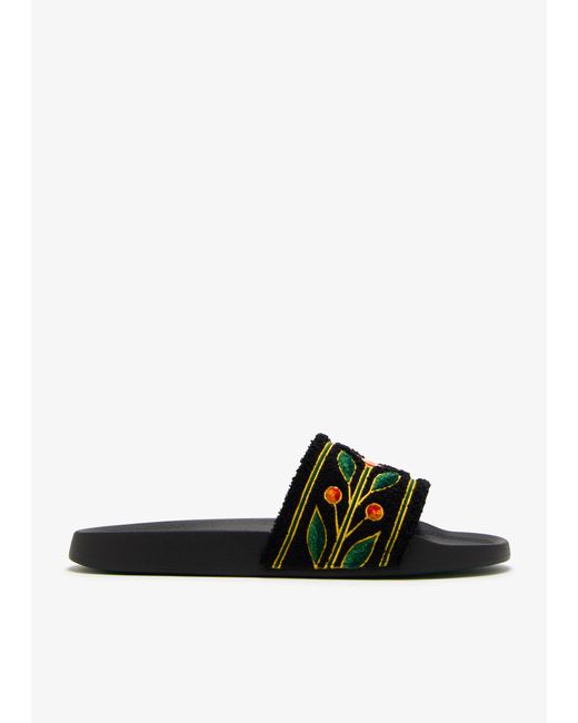 Casablanca Black Laurel Terry Slides for men