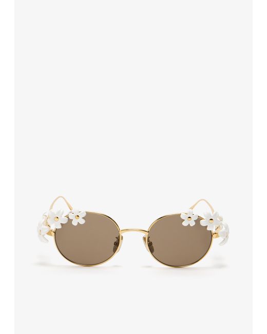 Loewe White Daisy Field Sunglasses