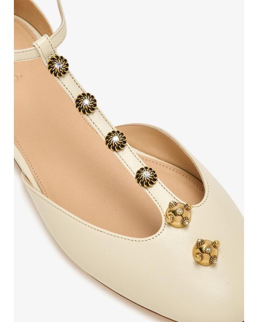 Chloé Natural Celeste Ballerinas