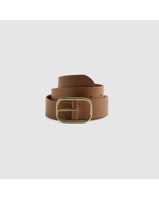 Levi's Blue Luca Belt