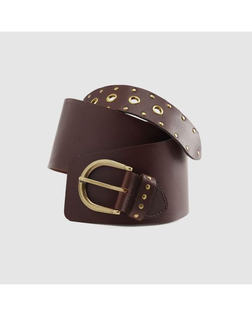 Levi's Brown Buckle Up Wide Belt
