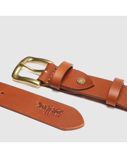 Cintura Addison di Levi's in Blue da Uomo