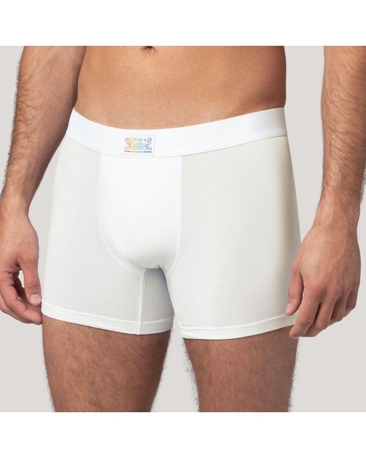 Levi's Black Pride Boxer Brief 2 Pack for men