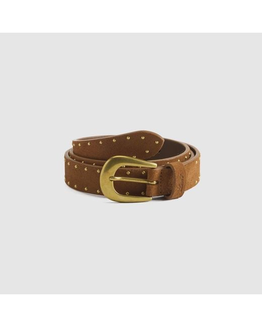 Levi's Blue Bella Studded Belt