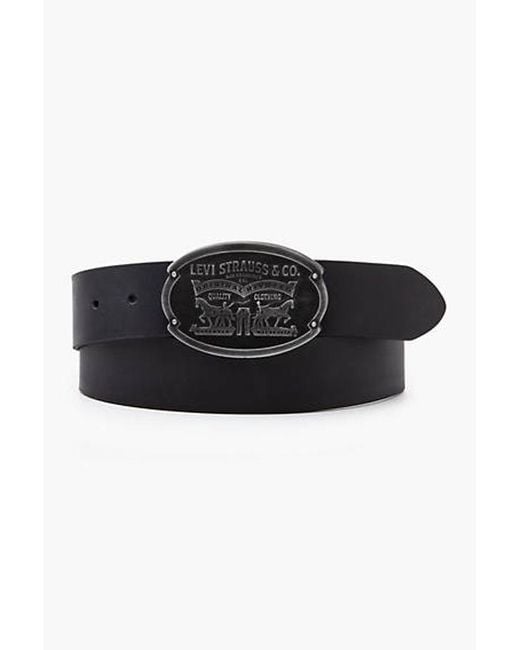 Levi's Black Billy Plaque Belt for men