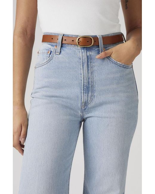 Levi's Brown Charlie Belt