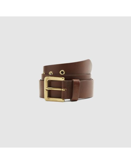 Levi's Brown Maverick Eyelet Belt for men