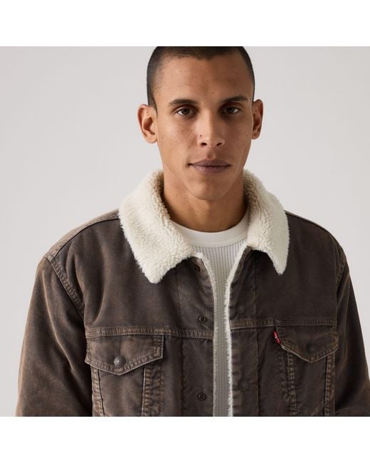 Levi's Brown Type Iii Sherpa Trucker Jacket for men