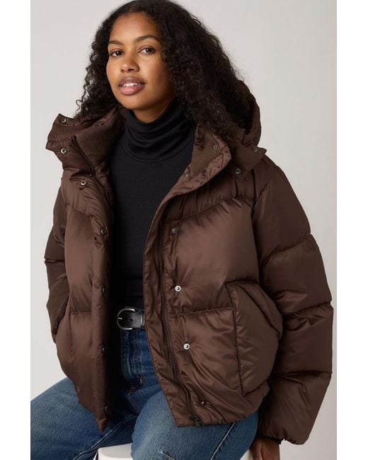 Levi's Brown Western Bubble Shortie Jacket