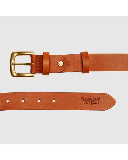 Cintura Addison di Levi's in Blue da Uomo