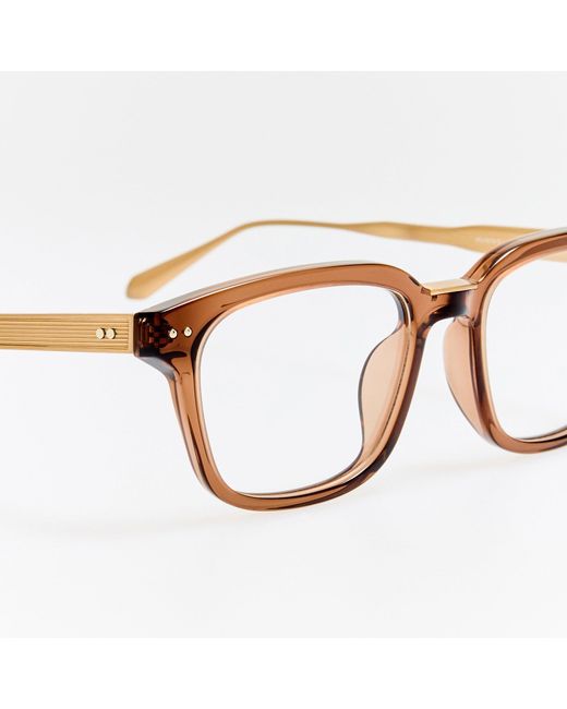 Linda Farrow Brown Mauro Optical