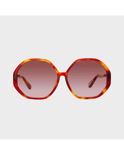 Linda Farrow Brown Paloma Sunglasses
