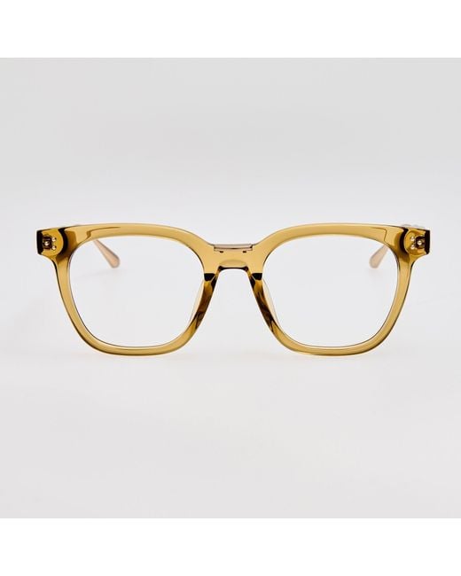 Linda Farrow Brown Evans Optical