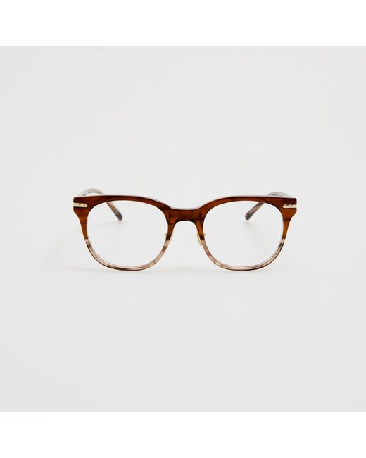 Linda Farrow Brown Arch Optical