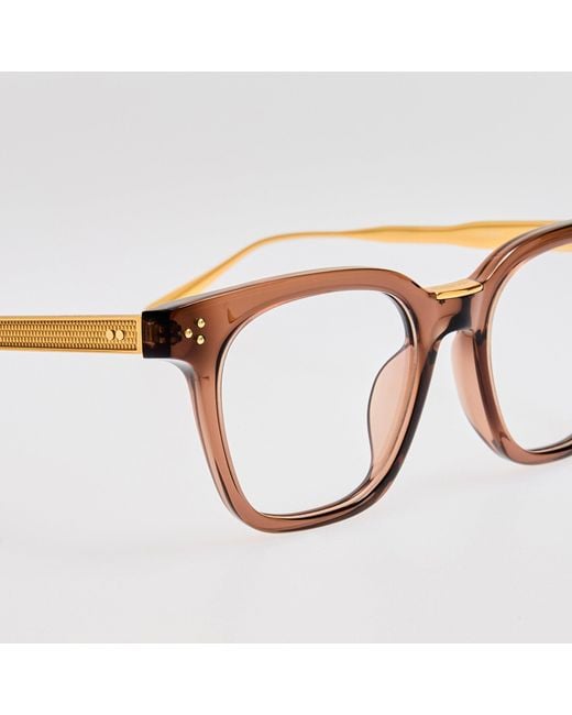 Linda Farrow Brown Evans Optical