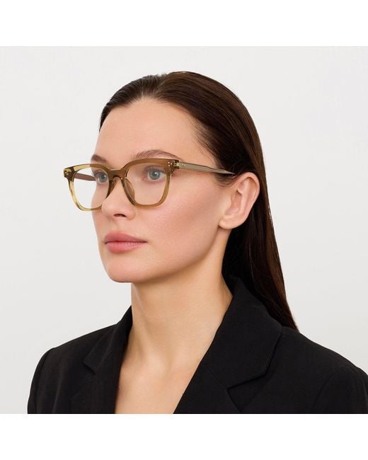 Linda Farrow Brown Evans Optical