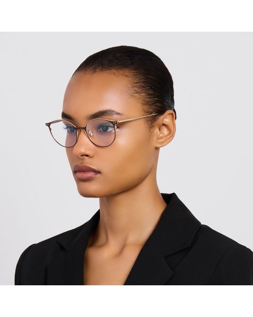 Linda Farrow Brown Daley Optical