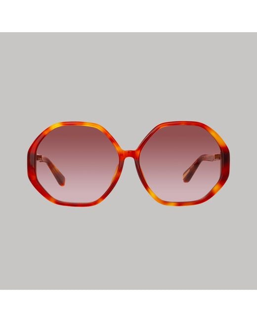 Linda Farrow Brown Paloma Sunglasses