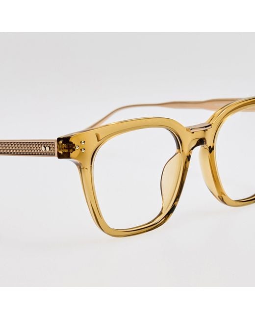 Linda Farrow Brown Evans Optical