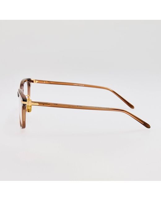Linda Farrow Brown Diller Optical