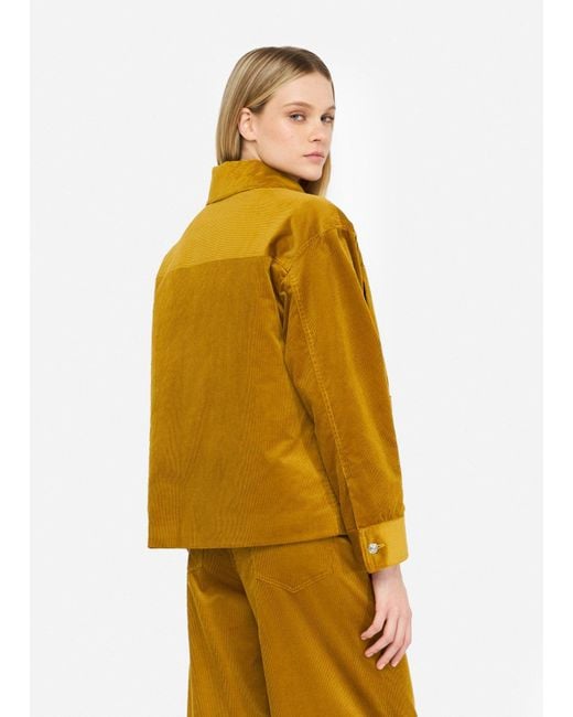 Liu Jo Yellow Liu Jo Wattierter Samtblouson