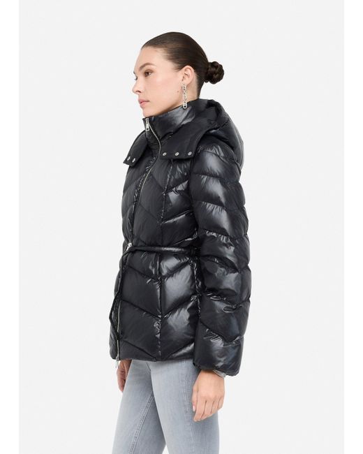 Liu Jo Black Liu Jo Daunenjacke Mit Kapuze
