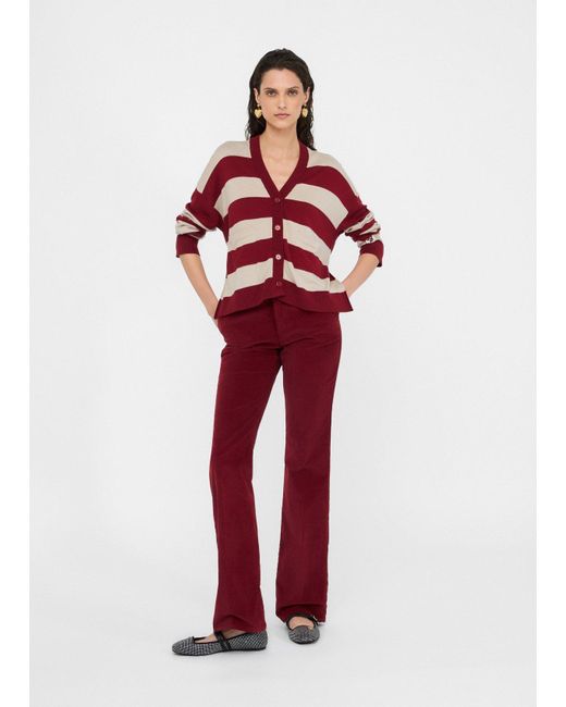 Liu Jo Red Liu Jo Bootcut-Hose Aus Samt
