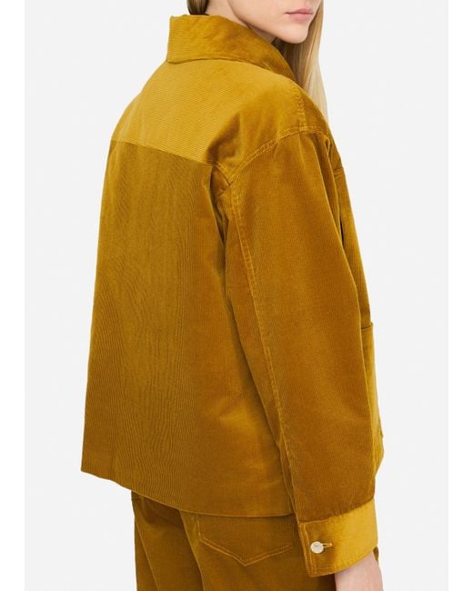 Liu Jo Yellow Liu Jo Wattierter Samtblouson