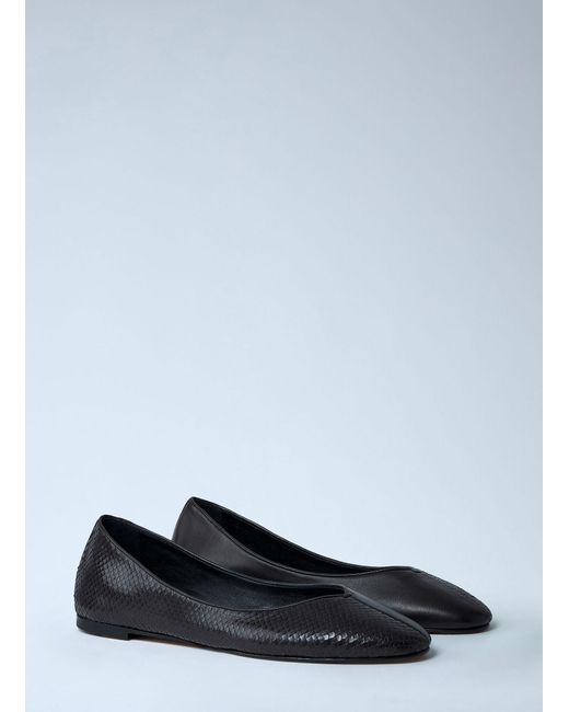 Jacquemus Black Les Ballerines Ovalo