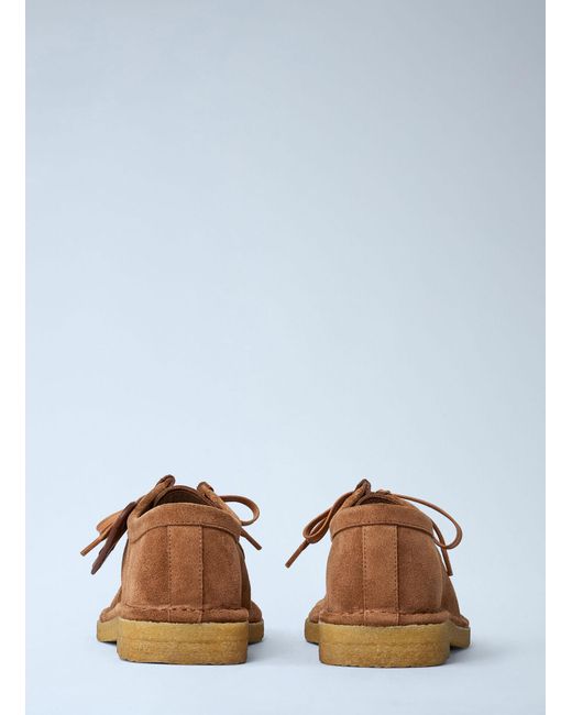 Bottega Veneta Brown Daddy Lace-Up Shoes