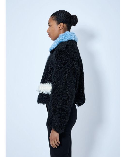 Marni Blue Curly Shearling Jacket