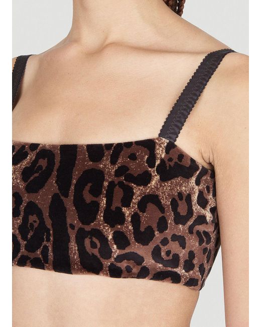 Dolce & Gabbana Brown Leopard Print Crop Top