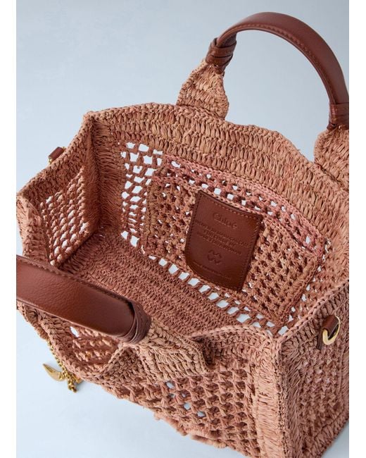 Chloé Multicolor Chloé Small Summer Banana East-West Tote Bag