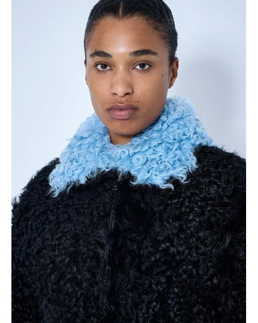 Marni Blue Curly Shearling Jacket