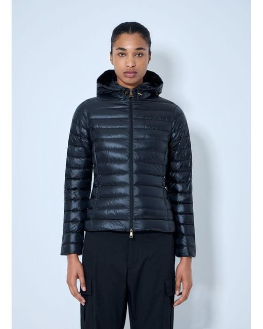 Moncler Blue Igelhood Short Down Jacket
