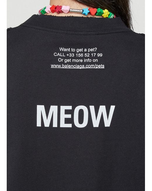 Capsule Collection Balenciaga Cat T Shirt Balenciaga Cats Hoodie