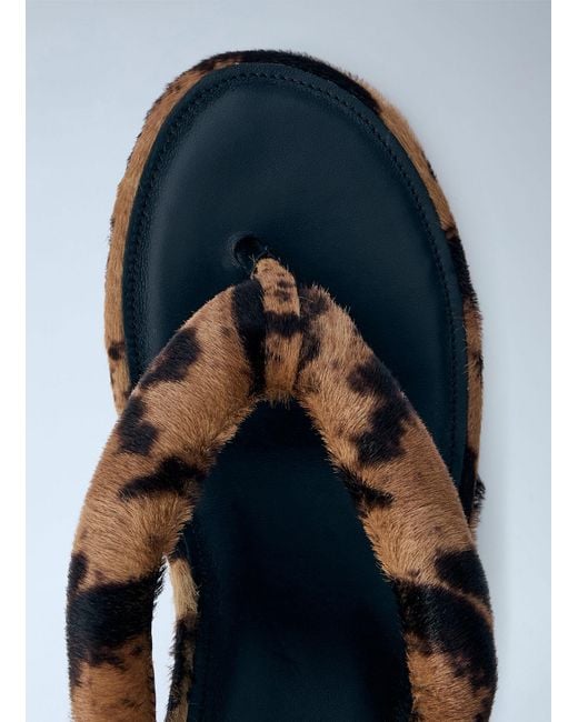 Balenciaga Brown Gaeta Wedge Thong Sandals