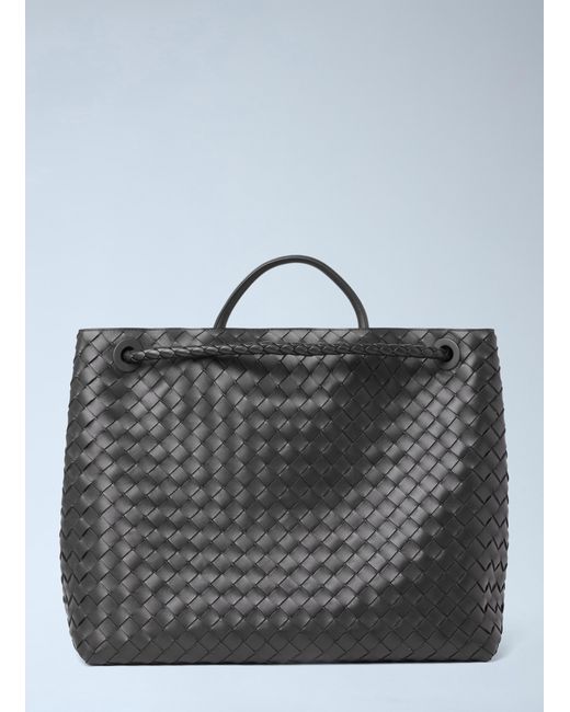 Bottega Veneta Natural Large Andiamo Handbag