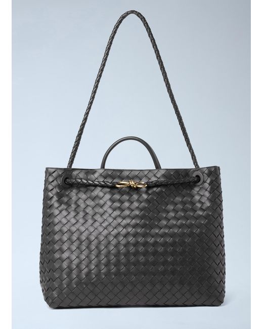 Bottega Veneta Natural Large Andiamo Handbag