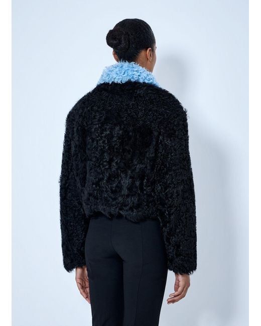 Marni Blue Curly Shearling Jacket