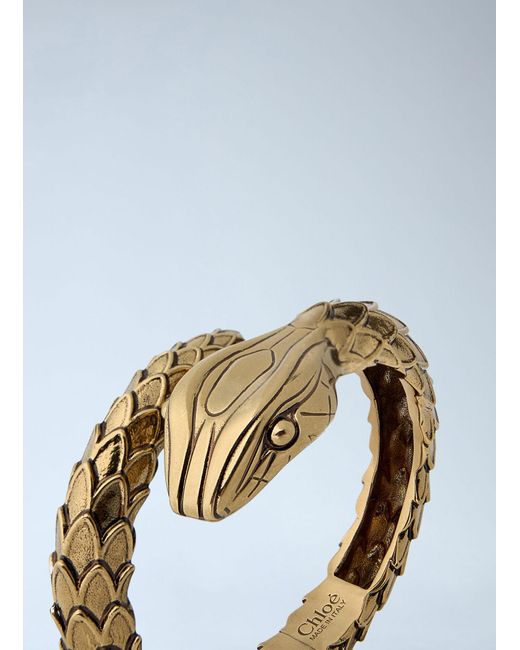 Chloé Blue Chloã Snake Bracelet