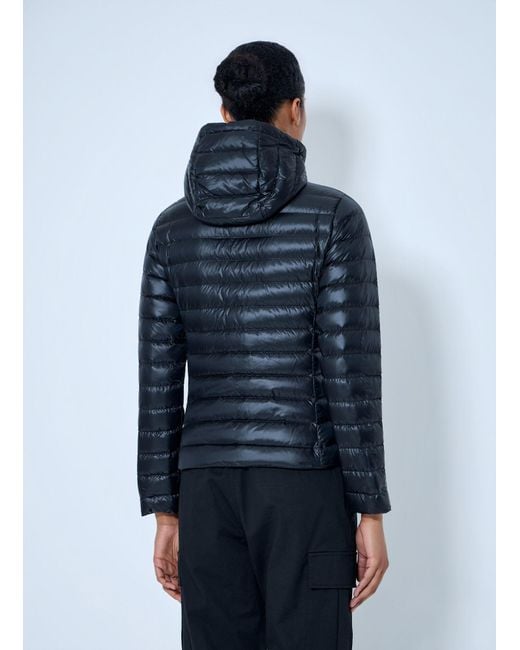 Moncler Blue Igelhood Short Down Jacket
