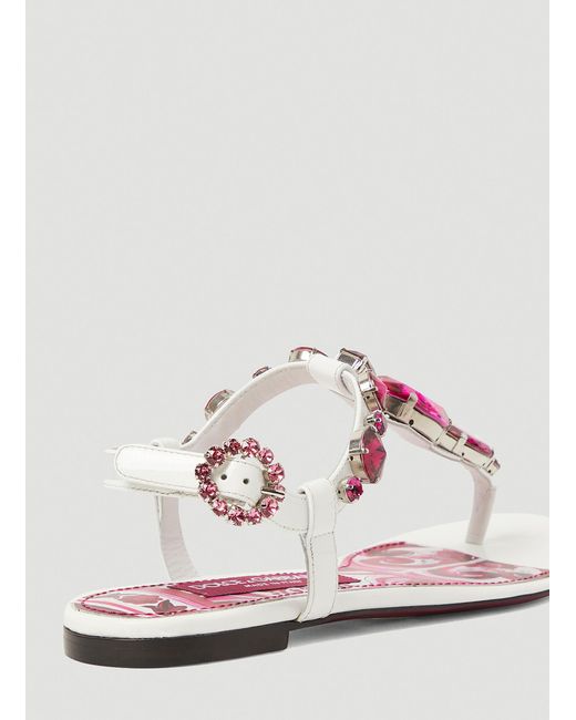 Dolce & Gabbana Pink Crystal Embellished Majolica Sandals