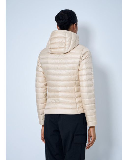 Moncler Natural Igelhood Short Down Jacket
