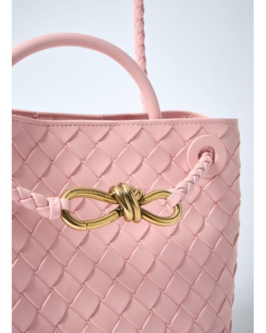 Bottega Veneta Pink Small Andiamo Handbag