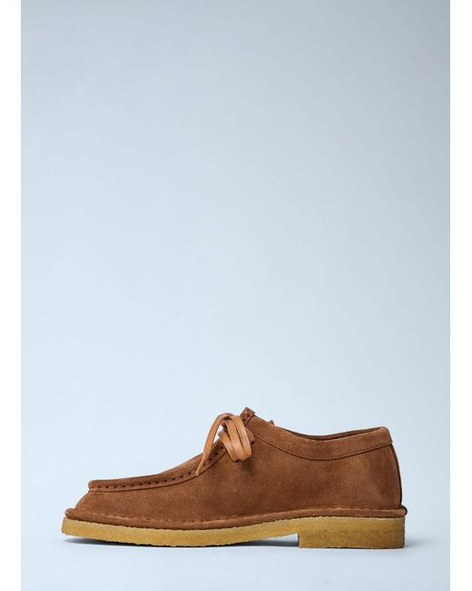 Bottega Veneta Brown Daddy Lace-Up Shoes
